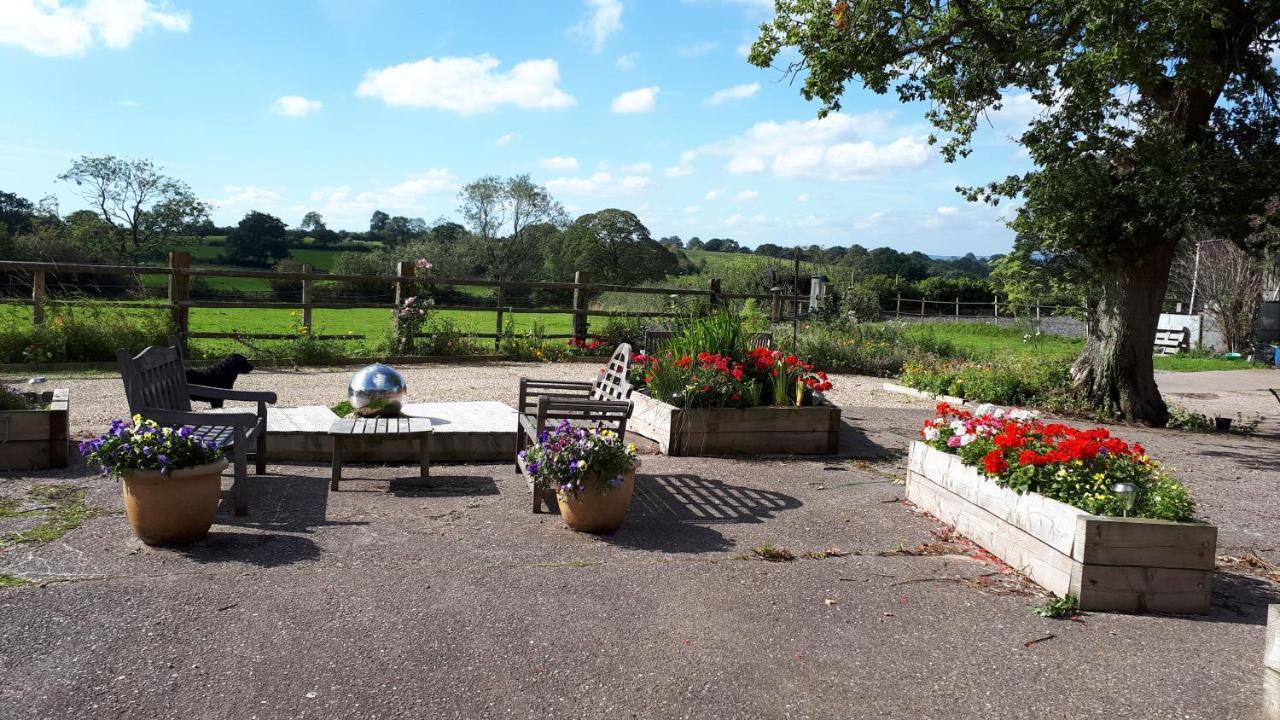 Highfields Farm B&B 스톤 외부 사진