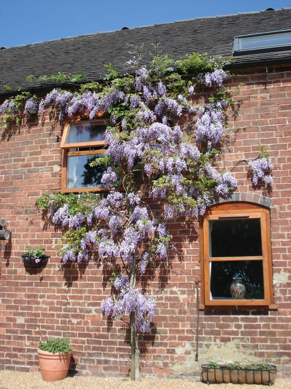 Highfields Farm B&B 스톤 외부 사진